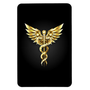 Gold Polygonal Symbol Caduceus Magnet