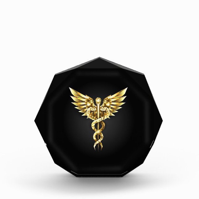 Gold Polygonal Symbol Caduceus Photo Block (Front)