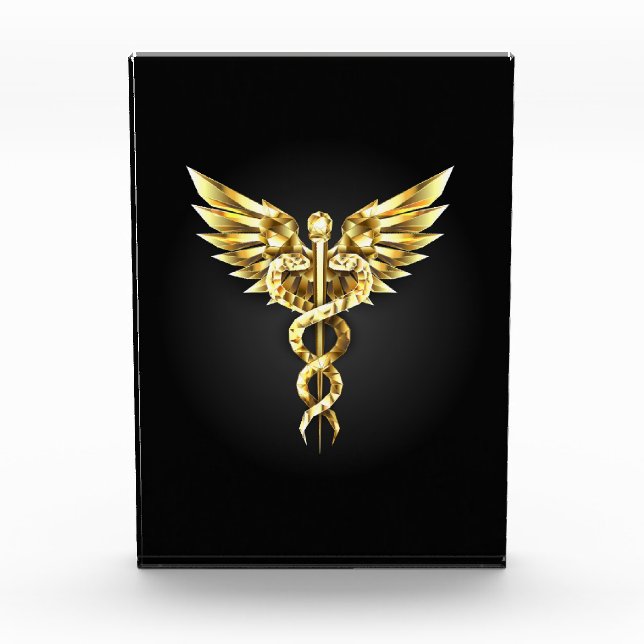 Gold Polygonal Symbol Caduceus Photo Block (Front)