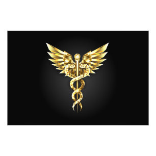 Gold Polygonal Symbol Caduceus Photo Print