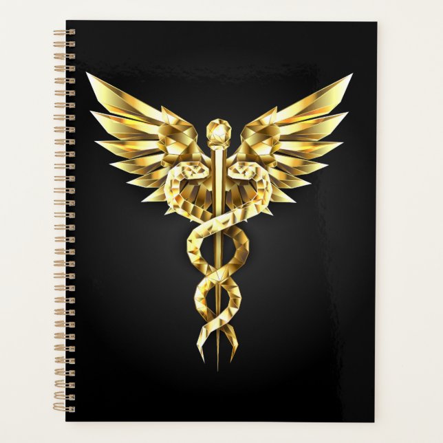 Gold Polygonal Symbol Caduceus Planner (Front)