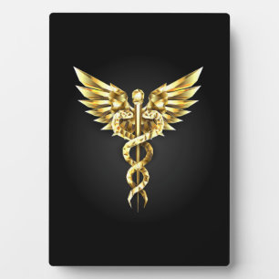 Gold Polygonal Symbol Caduceus Plaque