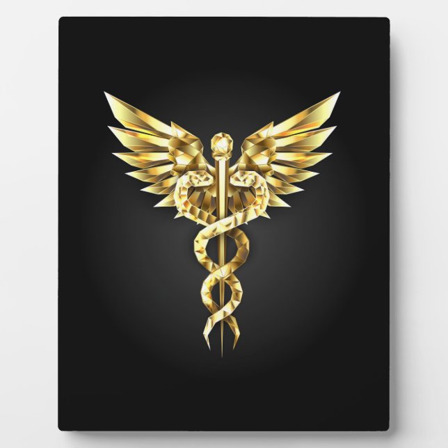 Gold Polygonal Symbol Caduceus Plaque (Front)