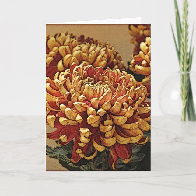 Gold & Red Chrysanthemum Greeting Card (Front)