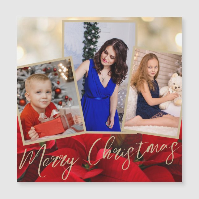 Gold Red Poinsettia Merry Christmas Magnet Card (Front)
