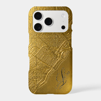 gold relief map newport beach