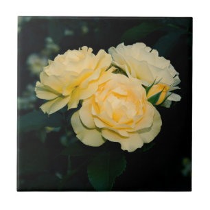 Gold Roses Garden Tile