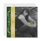 Gold Scroll Photo Green Graduation Invitations