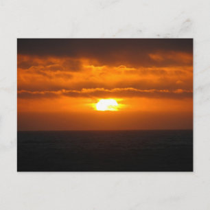 Gold Shot Postcard