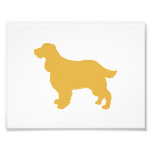 Gold silhouette of Cocker - Choose back colour Photo Print