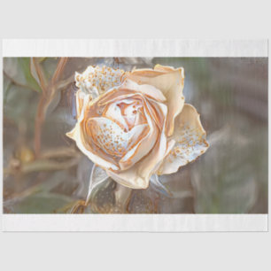 Gold Silk Unique Rose Art Dream Tissue Paper