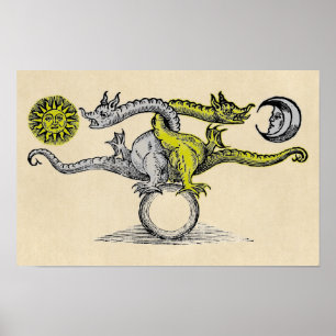 Gold & Silver Dragons Poster