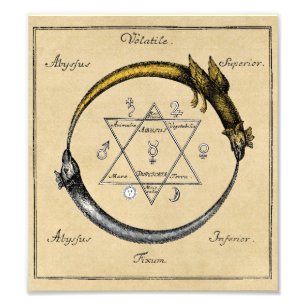 Gold & Silver Ouroboros Symbol Photo Print