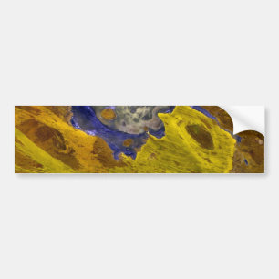 Gold Slate <br> Bumper Sticker