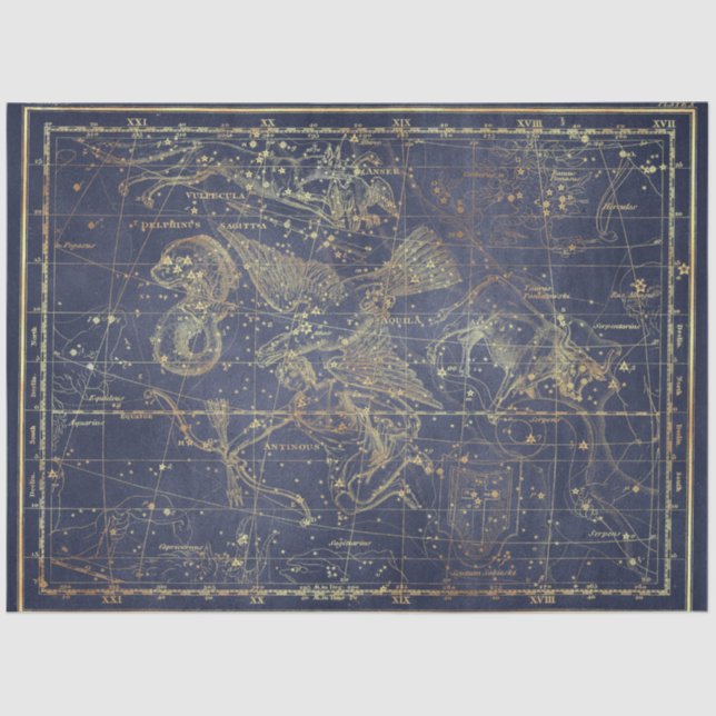 Gold Star Map Series Design 11 Tissue Paper (Front)