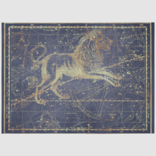 Gold Star Map Series Design 18 Tissue Paper