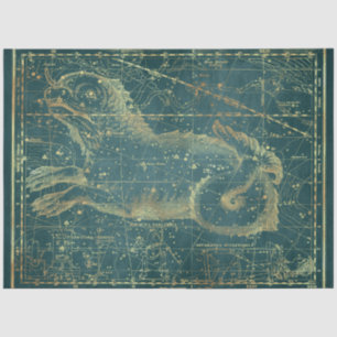 Gold Star Map Series Design 22 Tissue Paper