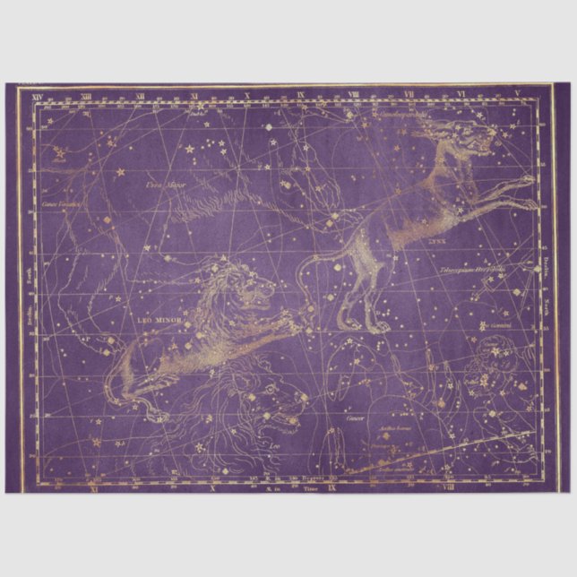 Gold Star Map Series Design 5 Tissue Paper (Front)