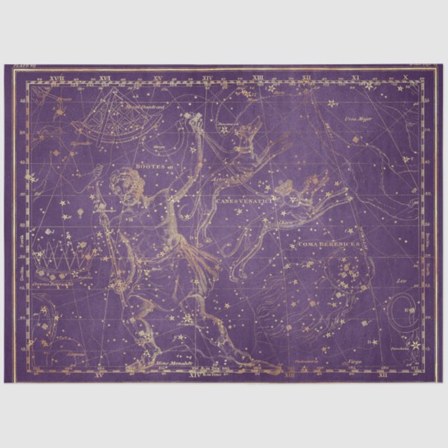 Gold Star Map Series Design 8 Tissue Paper (Front)