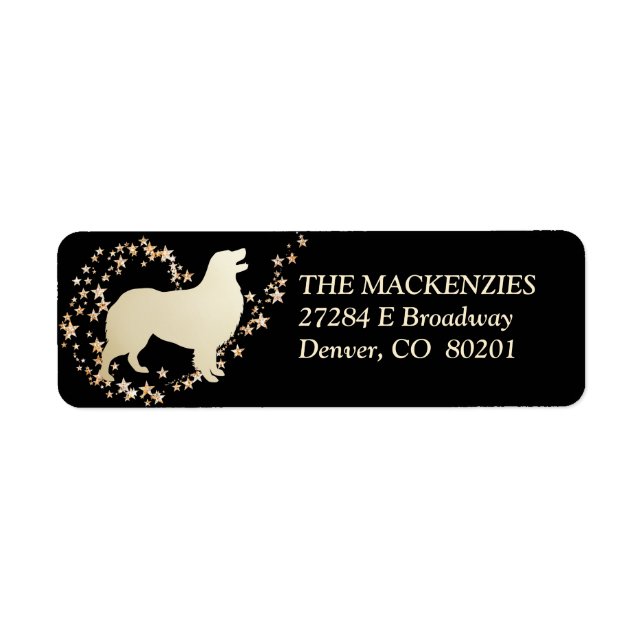 Gold Star Swirl Australian Shepherd Dog (Front)