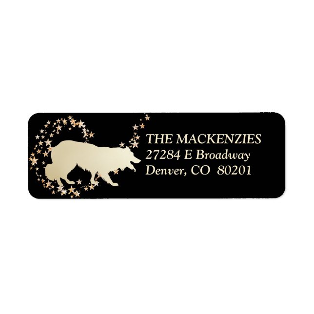 Gold Star Swirl Border Collie (Front)