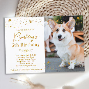 Gold Stars Birthday Personalised Pet Photo Dog Invitation