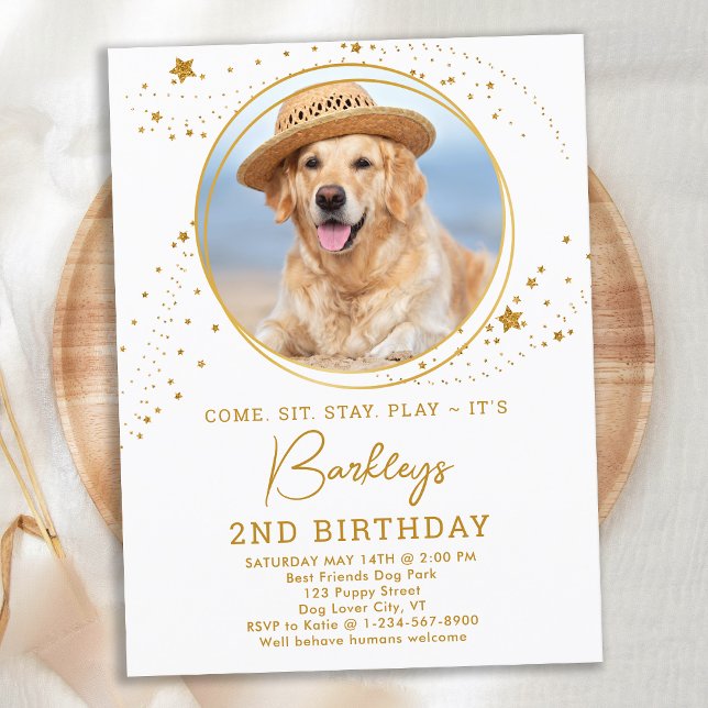 Gold Stars Dog Birthday Personalised Pet Photo  Invitation Postcard (Creator Uploaded)