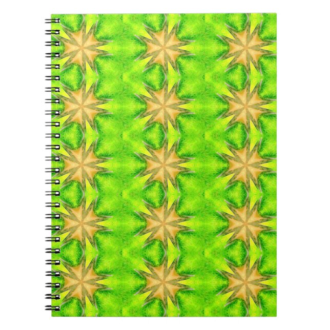 gold stars on green notebook (Front)