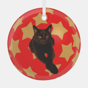Gold Stars on Red with Black Cat's Photo Glass Tree Decoration