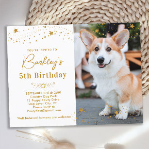 Gold Stars Personalised Pet Photo Dog Birthday Invitation Postcard