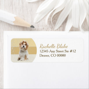 Gold Stripe Shih-Tzu Dog Return Address