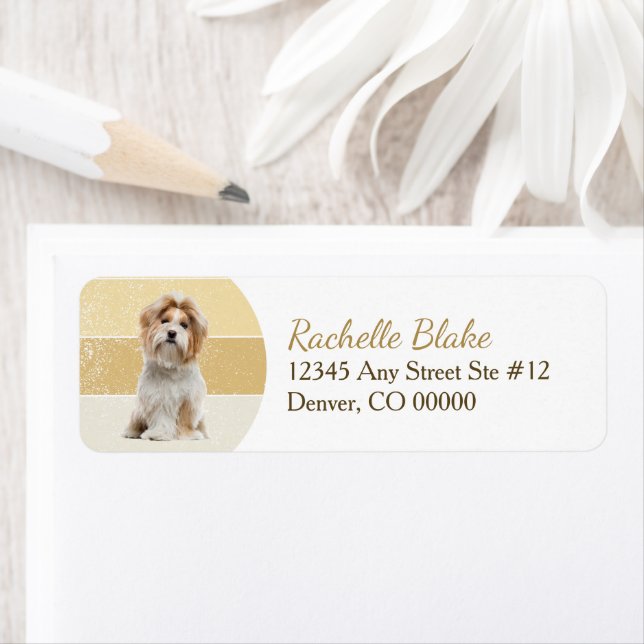Gold Stripe Shih-Tzu Dog Return Address (Insitu)