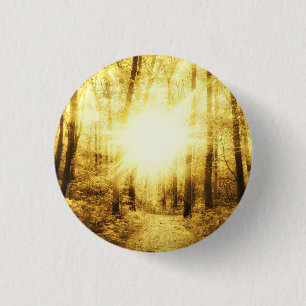 GOLD SUN SMALL ROUND PIN