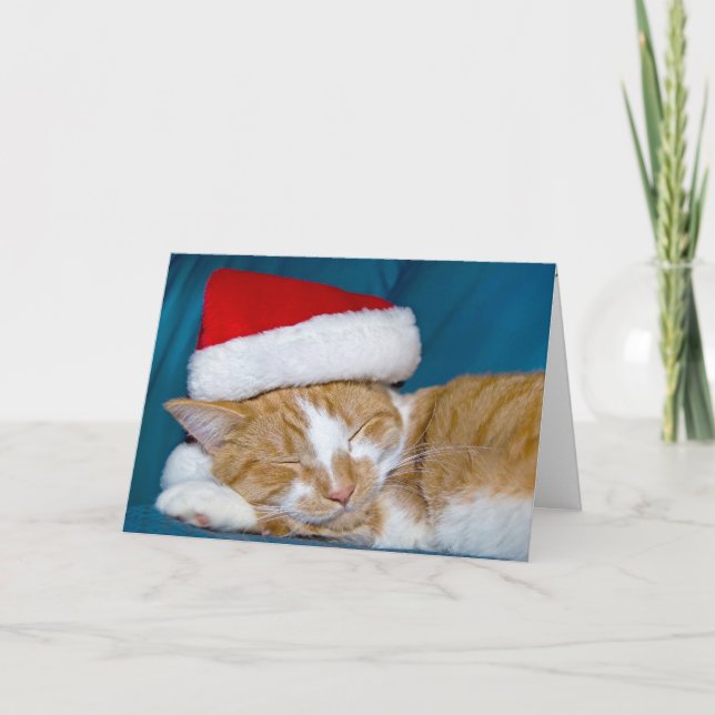 Gold tabby Christmas Card (Front)