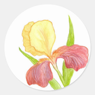 Gold Top Iris Sticker