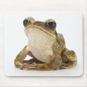 Gold tree frog mouse mat