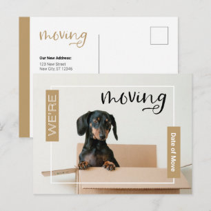 Gold We're Moving Dachshund Dog in Box Postcard
