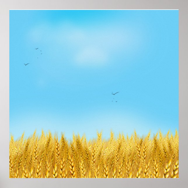 Gold Wheat Field Blue sky Oil Painting Summer Poster (Front)