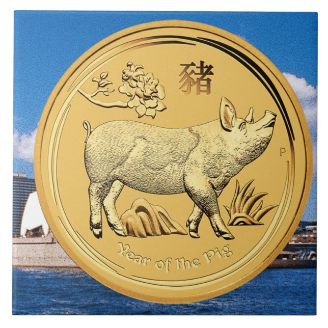 GOLD YEAR OF THE PIG COIN TILE (Front)