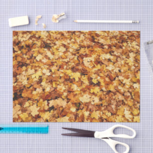 Gold yellow fall maple leaves tissue paper