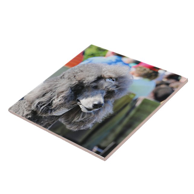 Goldberg - Chanel - Standard Poodle Tile (Side)