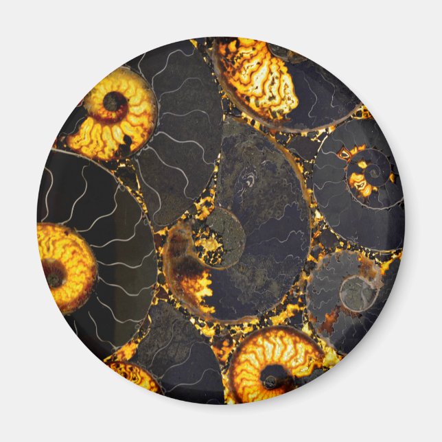 Golden Amber black Nautilus shell pattern, fossil  Magnet (Front)