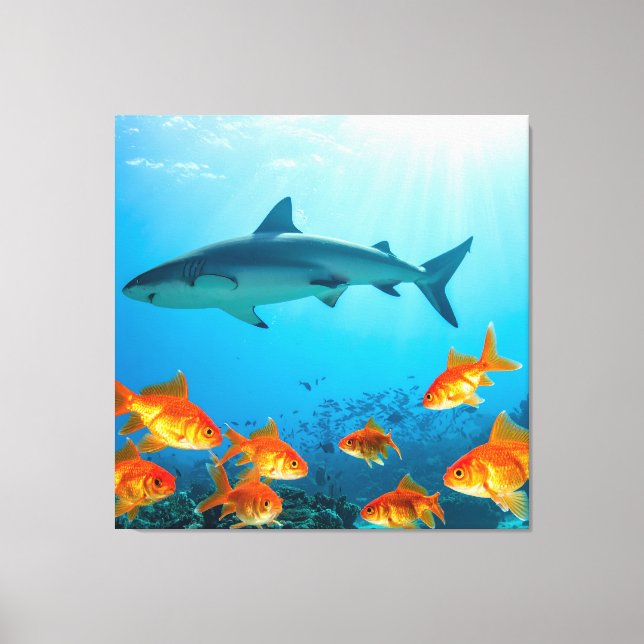 Golden Among Sharks Canvas Print (Front)