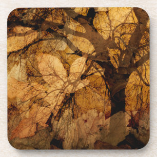 Golden and Brown Leaves Merritt Island, FL Coaster