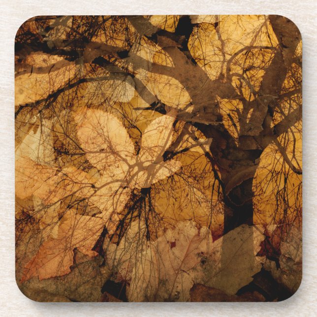 Golden and Brown Leaves | Merritt Island, FL Coaster (Front)