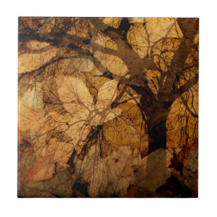 Golden and Brown Leaves   Merritt Island, FL Tile