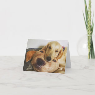 Golden and golden blank card