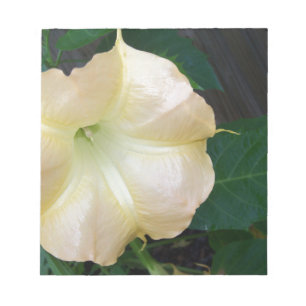 Golden Angels trumpet flower close up Notepad