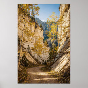 Golden Aspen Gorge Wilderness Poster