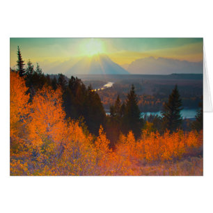 Golden Aspens Above Snake River At Sunset